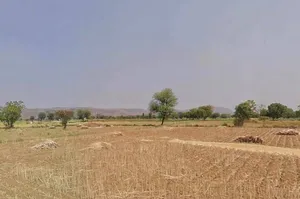 Chikani, Rajasthan 301028, India preview 2