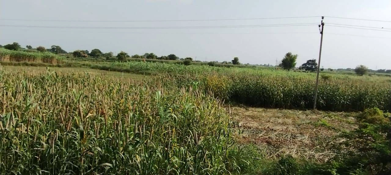 Morni Hills, Panchkula, Haryana, India