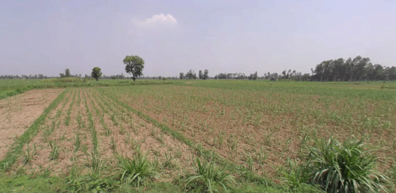 Kanth, Uttar Pradesh 244501, India