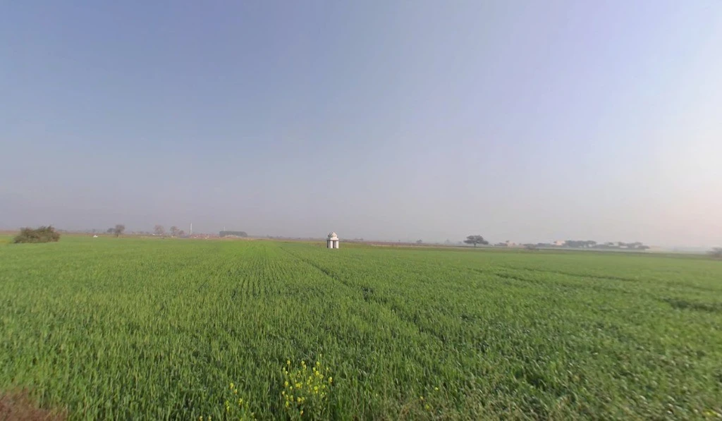 Kaimalgarh, Haryana, India