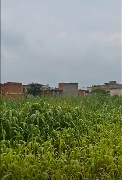 Baparasi, Meerut, Uttar Pradesh 250342, India preview 2