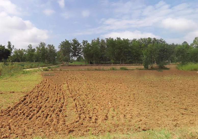 Gangapur, Uttar Pradesh 203393, India