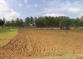 Gangapur, Uttar Pradesh 203393, India preview 3