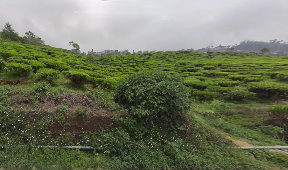 Kurseong, West Bengal, India preview 2