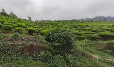 Kurseong, West Bengal, India preview 2