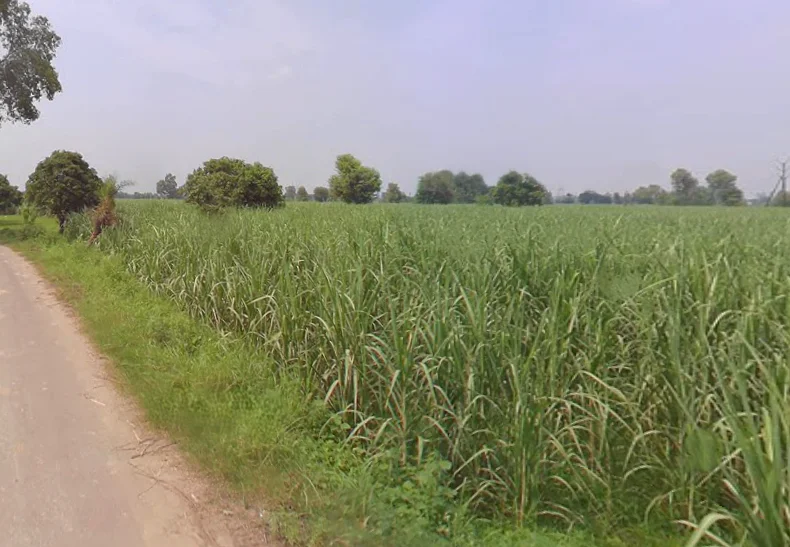 Laksar, Uttarakhand 247663, India preview 3