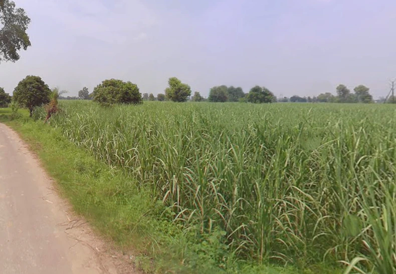 Laksar, Uttarakhand 247663, India