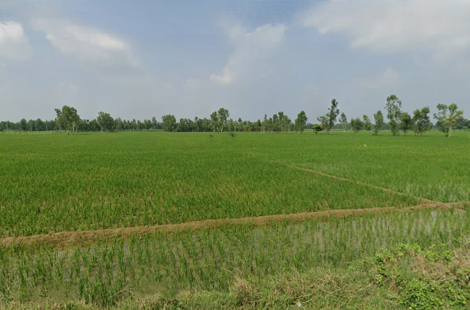 Rasula, Uttar Pradesh, India