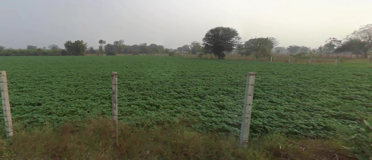 9MFJ+F4, Aluva, Gujarat 382650, India
