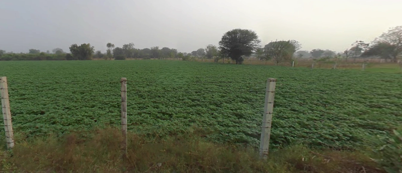9MFJ+F4, Aluva, Gujarat 382650, India