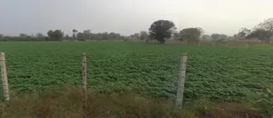 9MFJ+F4, Aluva, Gujarat 382650, India preview 3
