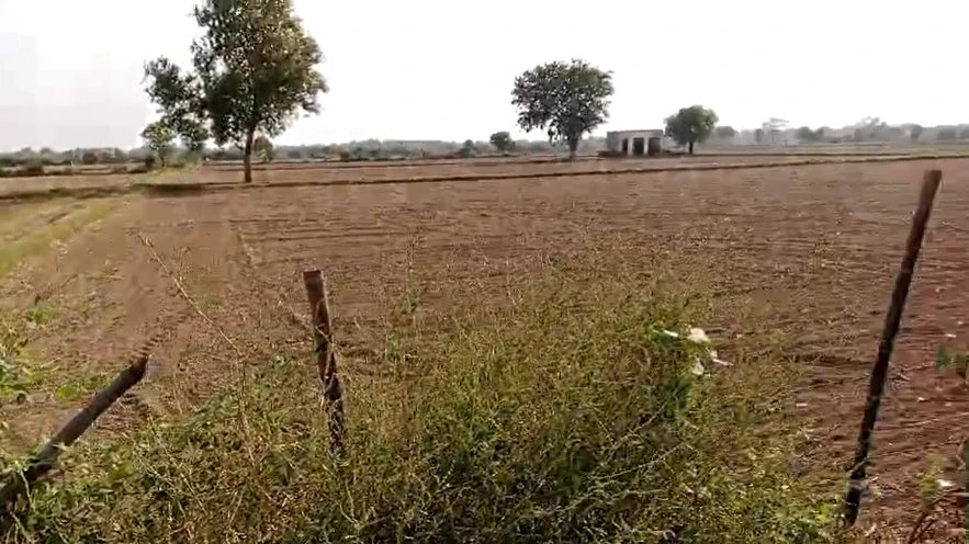 Q5XH+294, Bhiwani, Ninan, Haryana 127309, India