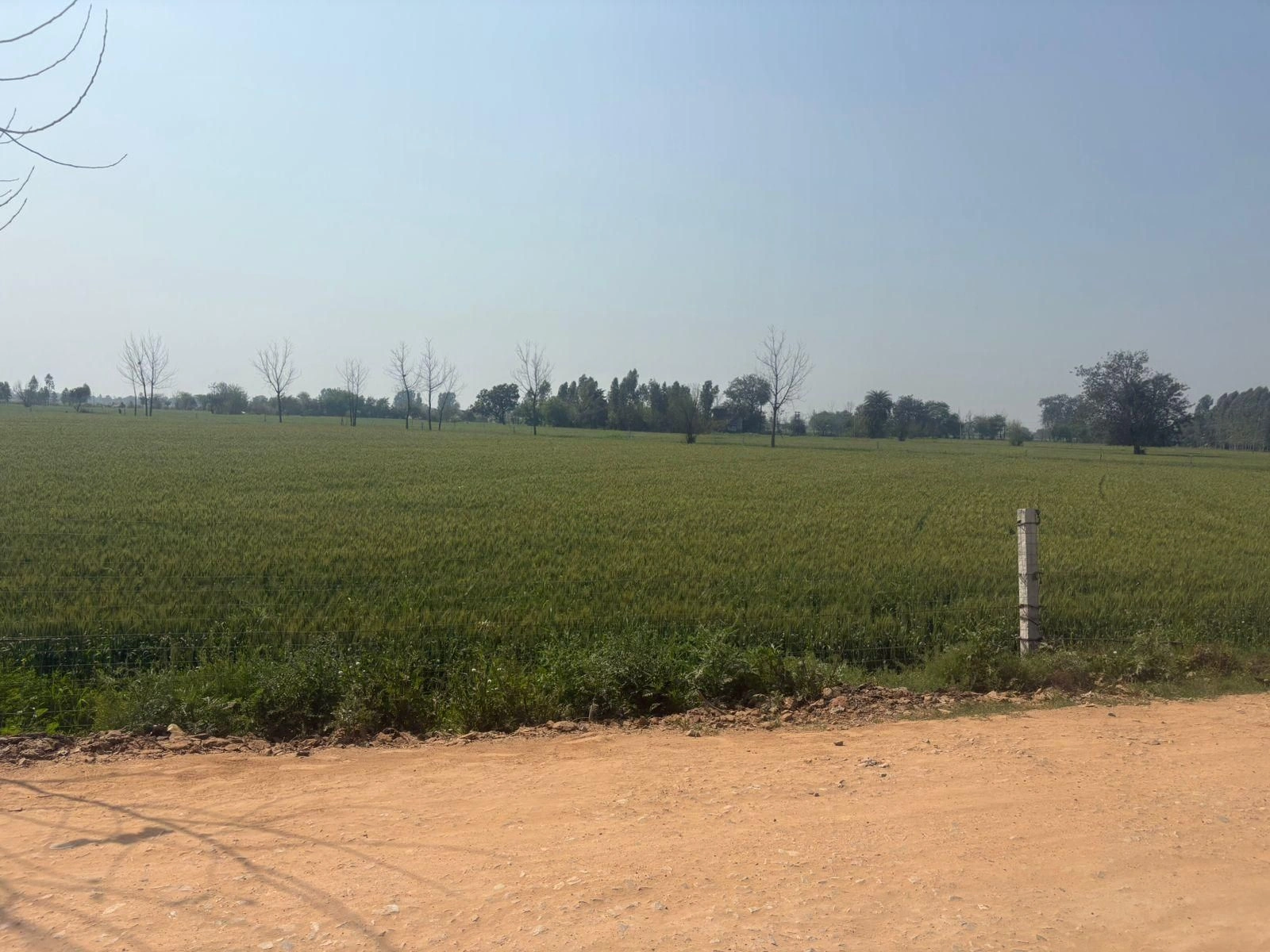 5GMR+RWW, Bagpur Khurd, Haryana, India preview 2