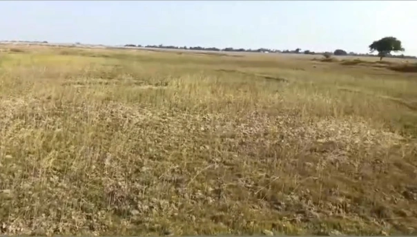 Meja Tehsil, Uttar Pradesh 212302, India