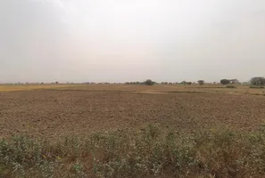 Luhari, Haryana 124108, India preview 2