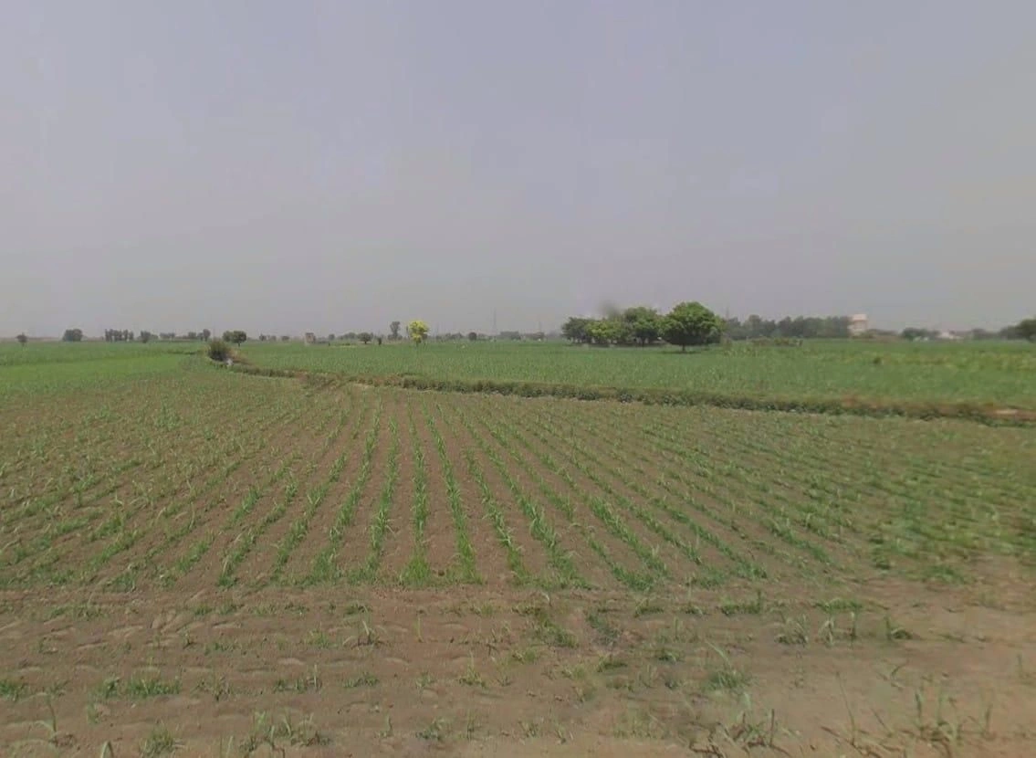 FPJH+94 Jatpur, Rajasthan, India