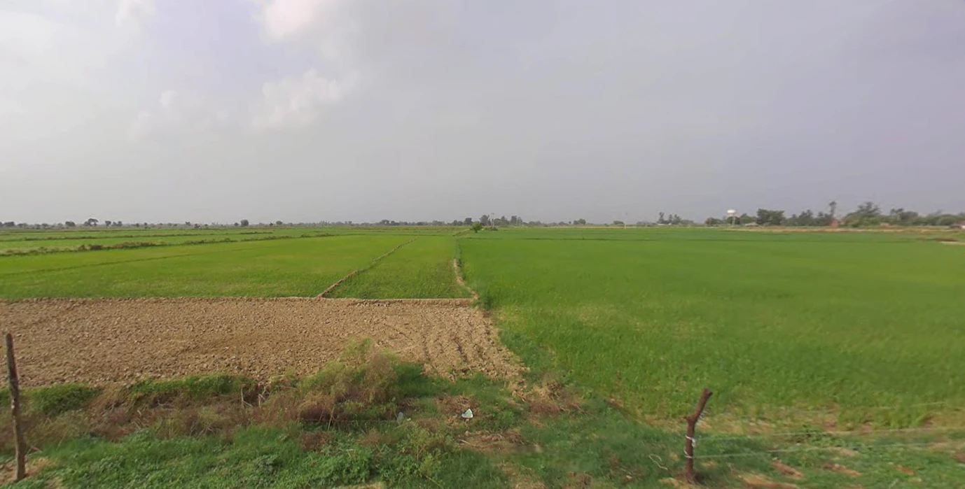 Suar, Uttar Pradesh 244924, India