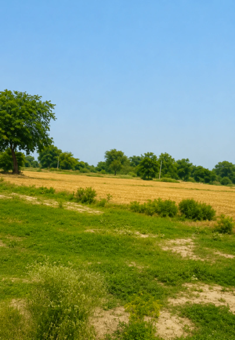 Patloni, Mathura, Uttar Pradesh, India