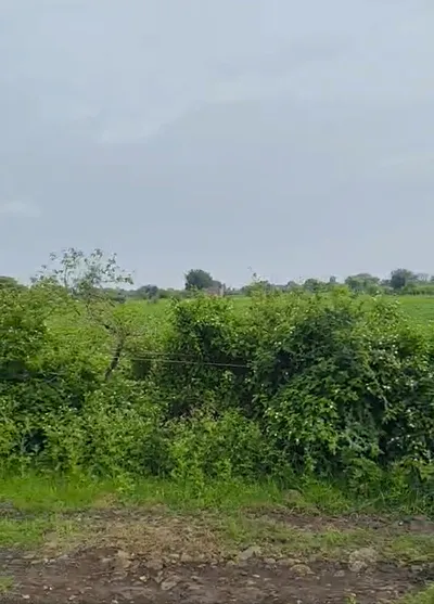 Maihar, Madhya Pradesh 485771, India preview 3
