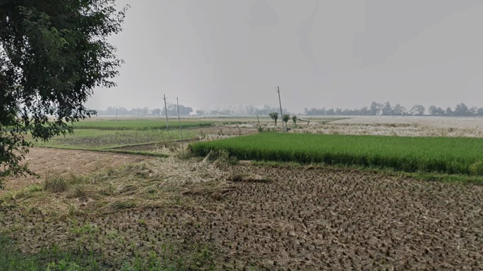 Pitwas, Bihar 804452, India