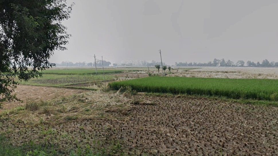 Pitwas, Bihar 804452, India
