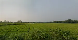 Nikunjapur, West Bengal 722144, India preview 2