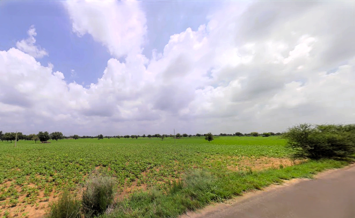 Chaudhari Wali, Haryana 125004, India