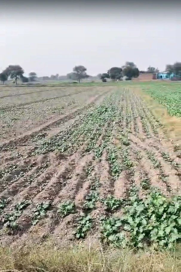 P5V2+MV Kathaul, Rajasthan, India