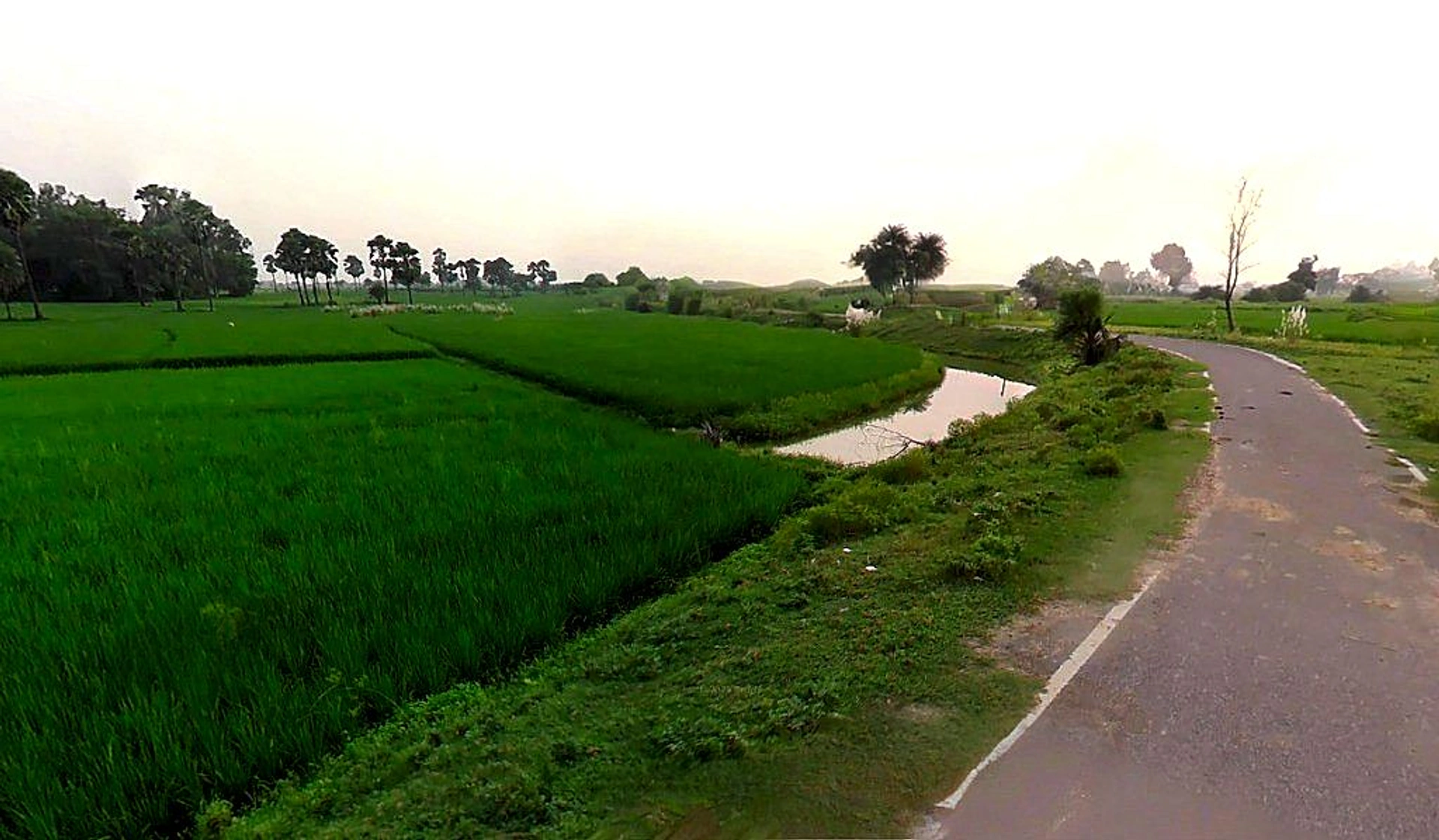 Sarakhi, Chhattisgarh 493661, India