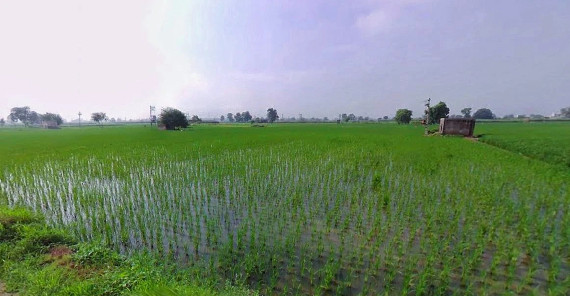 Rohtak, Haryana, India