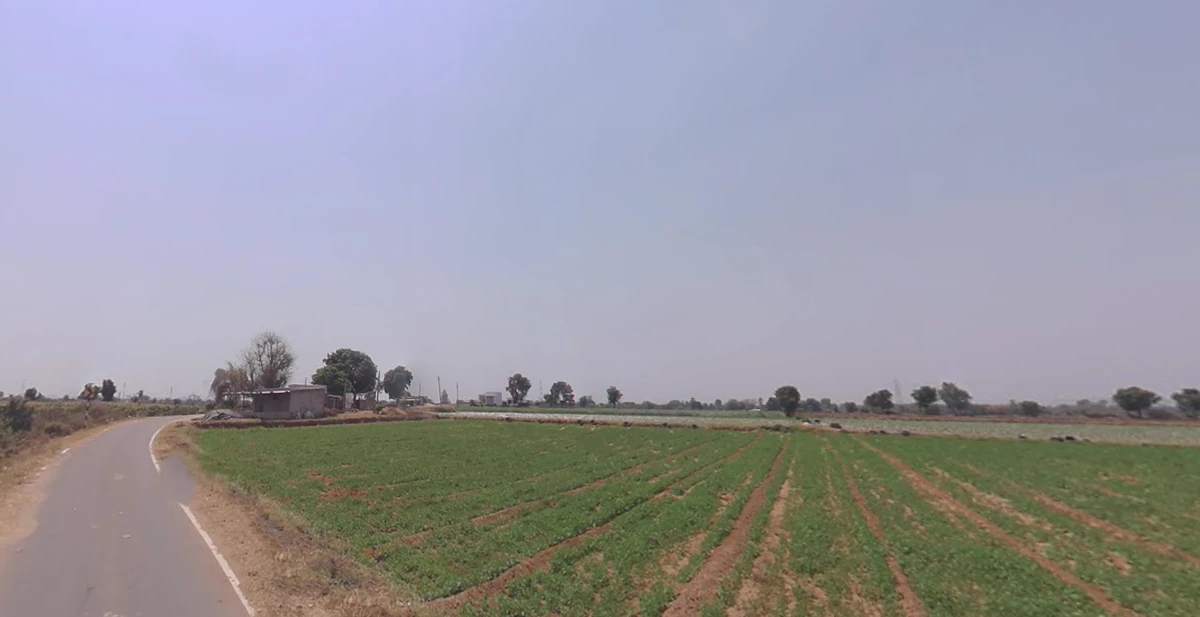 Khandiya, Gujarat 363410, India