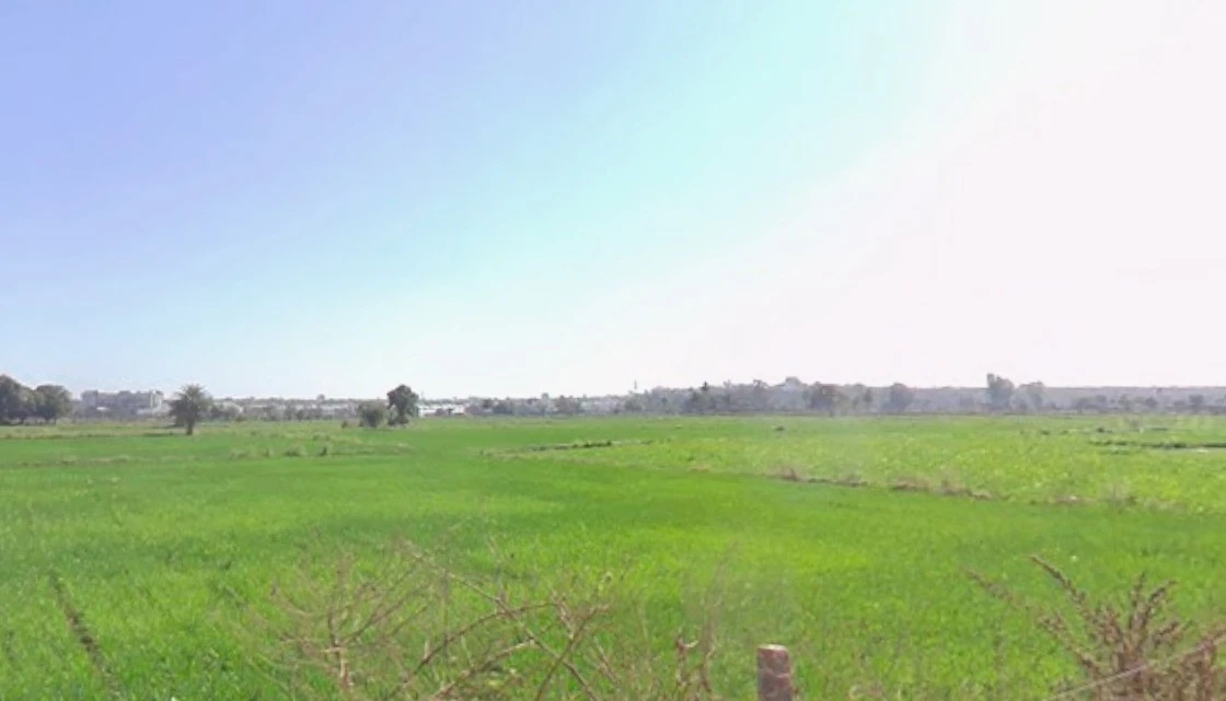 Bawadiya Kalan, Gulmohar Colony, Bhopal, Madhya Pradesh, India