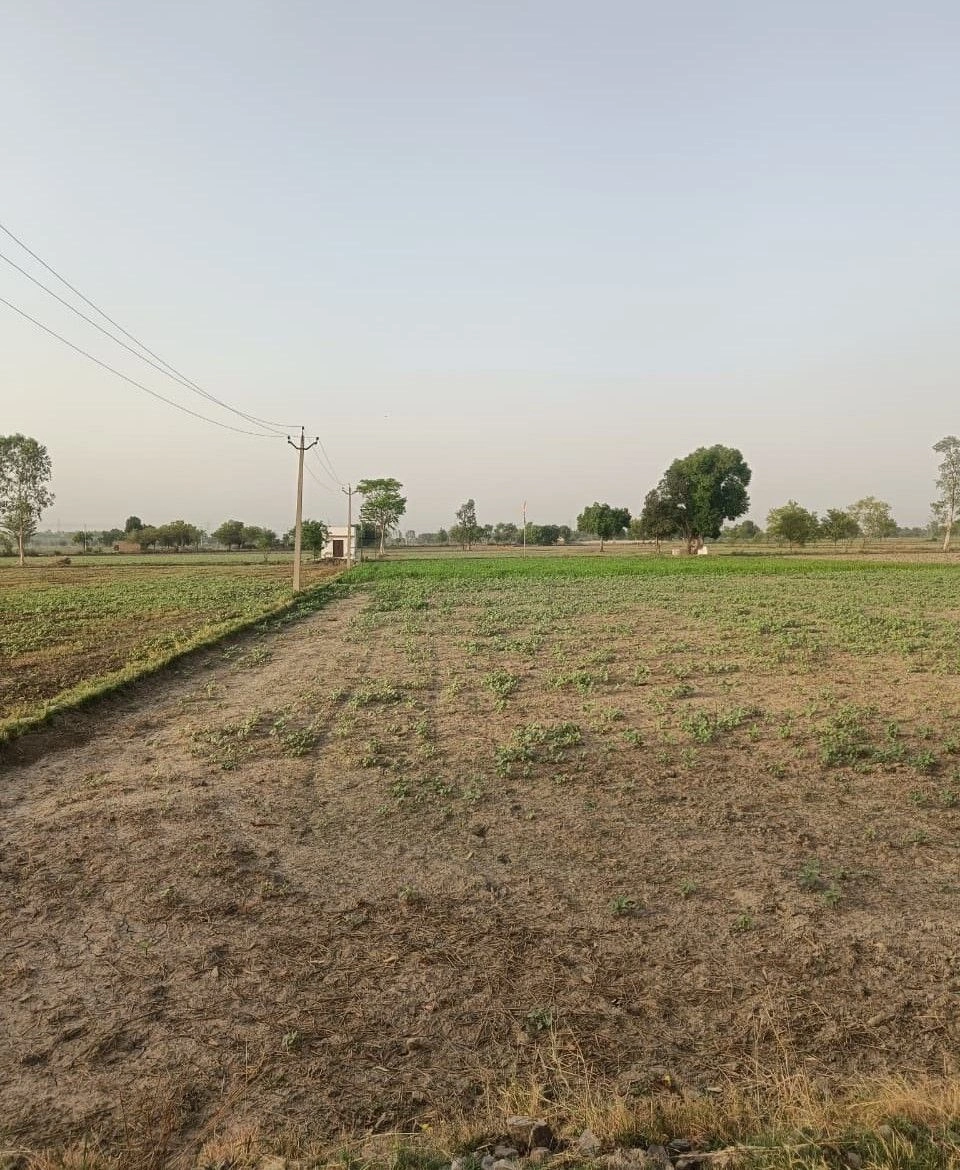 Dhahlavas, Rajasthan 301001, India