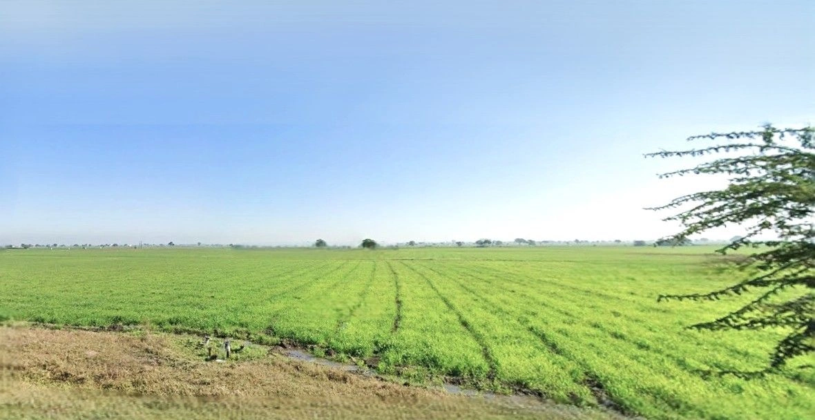 Jansath, Uttar Pradesh 251314, India