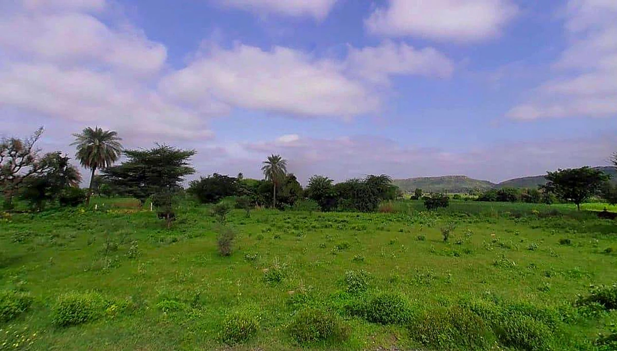 C2RC+53Q, Khatolai, Rajasthan 303119, India