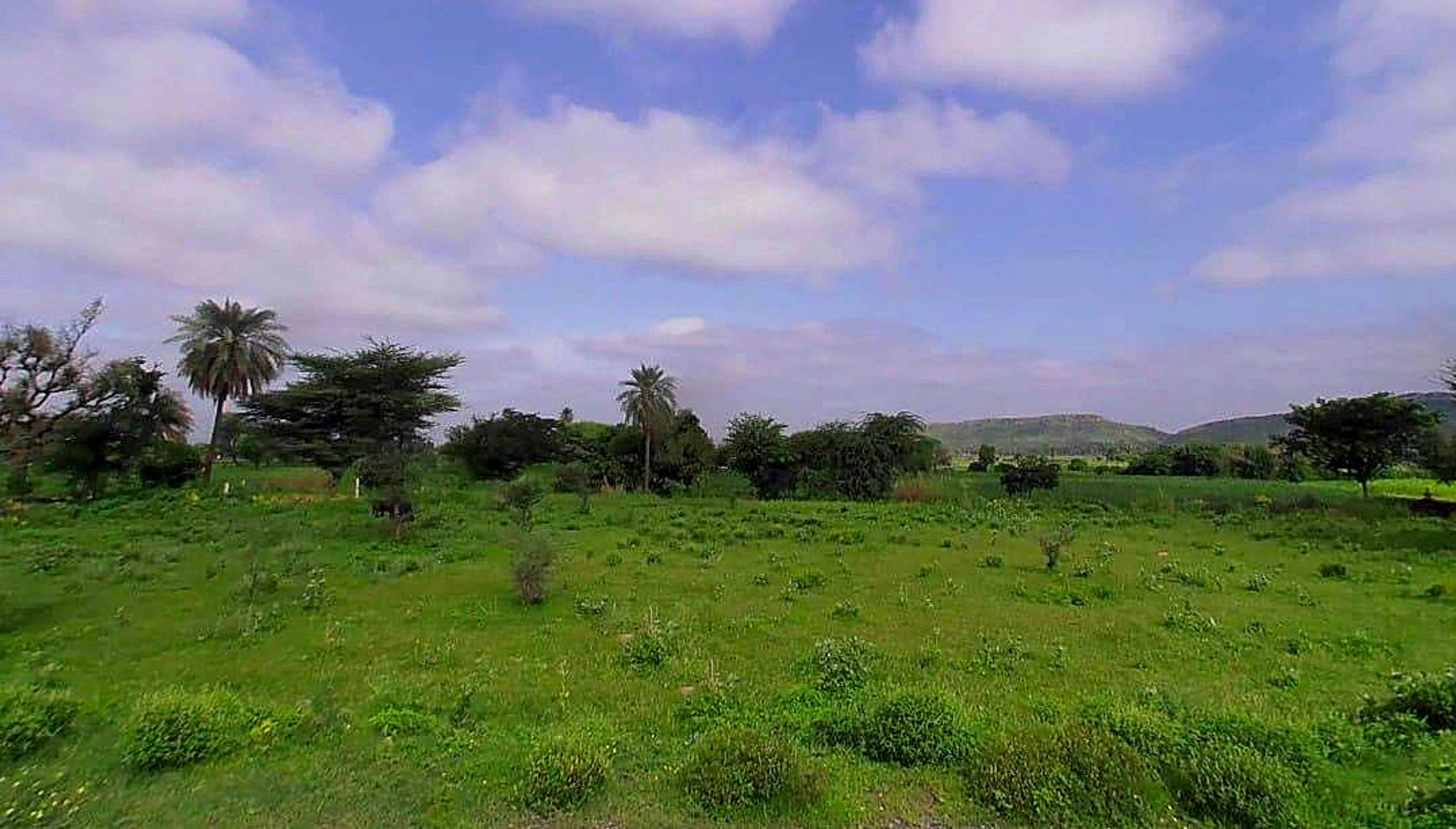 C2RC+53Q, Khatolai, Rajasthan 303119, India