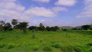 C2RC+53Q, Khatolai, Rajasthan 303119, India preview 3