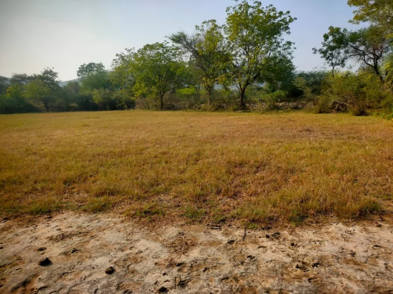 8WP8+5J Wailwari, Rajasthan, India preview 3