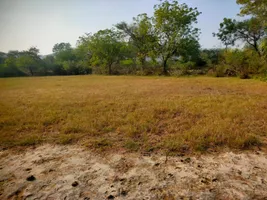 8WP8+5J Wailwari, Rajasthan, India preview 3