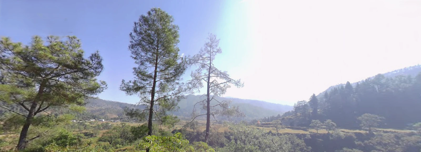 Tani, Uttarakhand, India