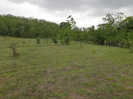 5JJG+3F Kalkuhi, Maharashtra, India preview 3