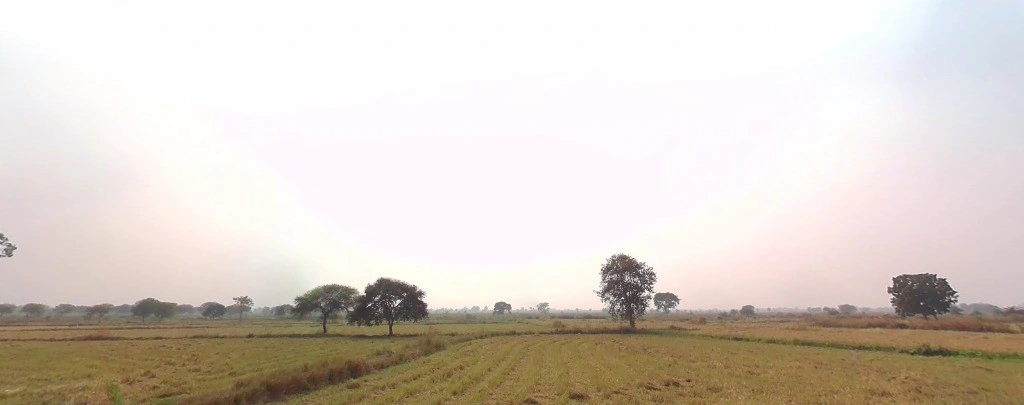 Rakhi-1, Chhattisgarh 492018, India