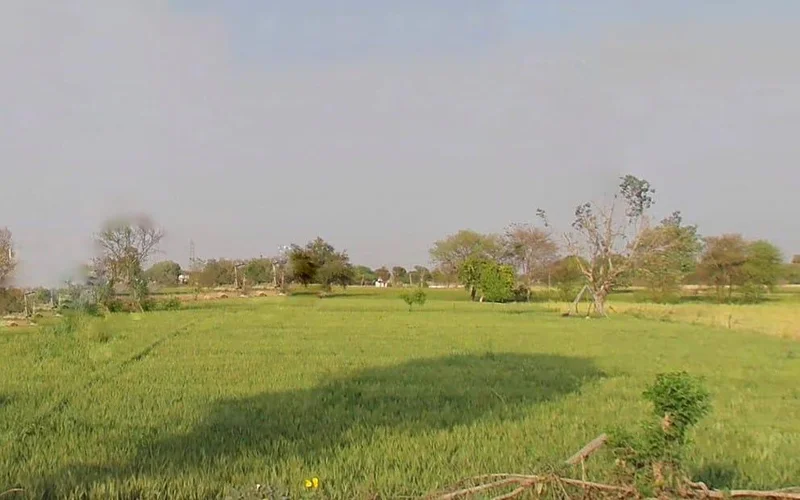 Nagli Megha, Rajasthan 301001, India preview 2