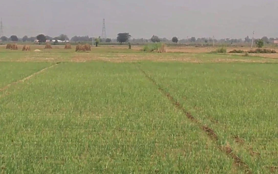 Alwar, Rajasthan, India