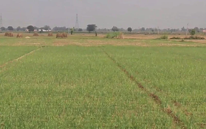 Alwar, Rajasthan, India preview 3