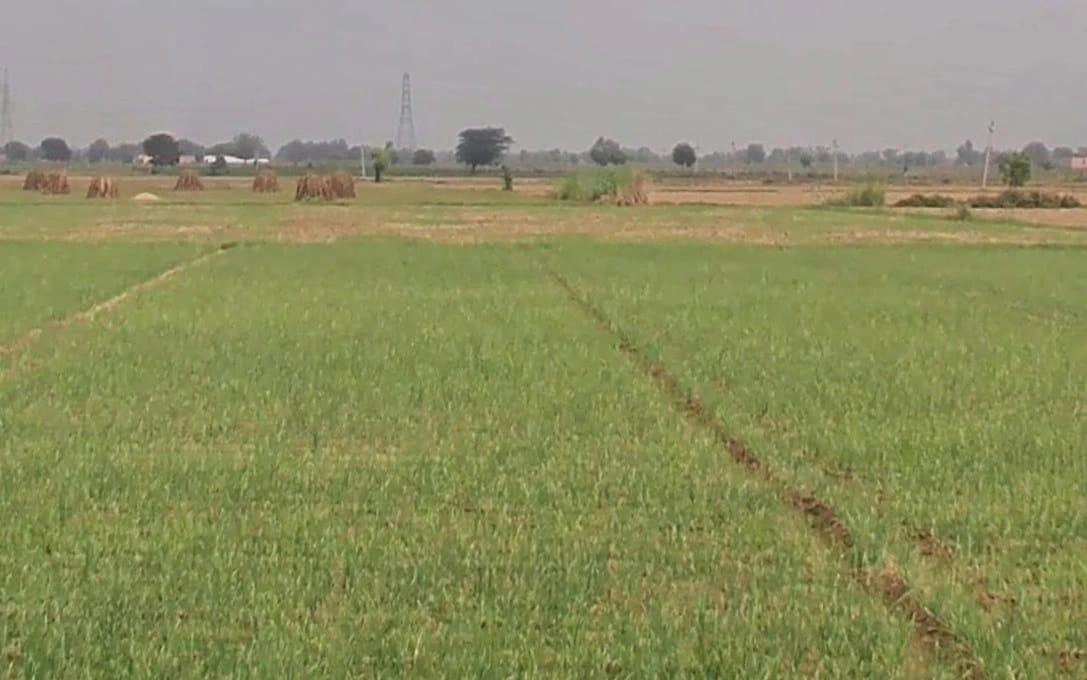 Alwar, Rajasthan, India