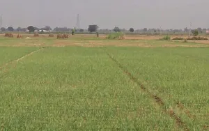 Alwar, Rajasthan, India preview 3