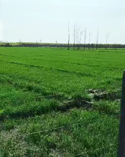 Laksar, Uttarakhand 247663, India