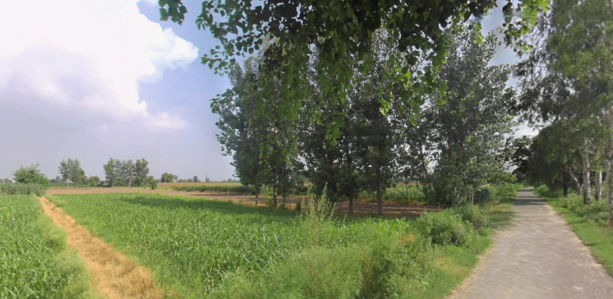 Patauna, Uttar Pradesh 226104, India