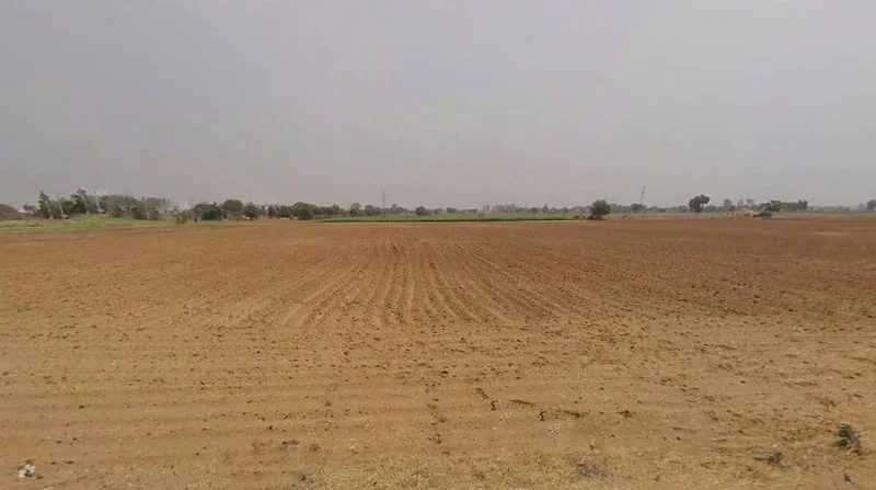 Dhahlavas, Rajasthan 301001, India preview 3